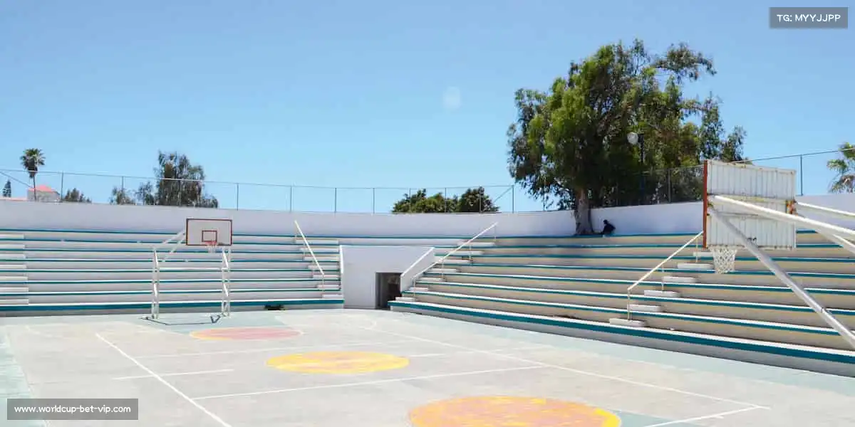 <strong>世界杯投注官网</strong>每一次跳跃，都是对天空的挑战！⛹️♀️🌩️